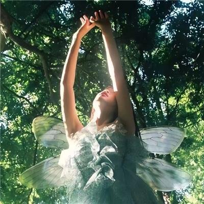 想做饭的女人和想吃饭的女人第二季